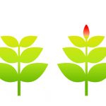 お店の売上を安定して伸ばす3つのステップ